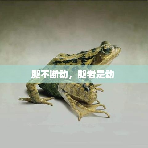 腿不断动，腿老是动 