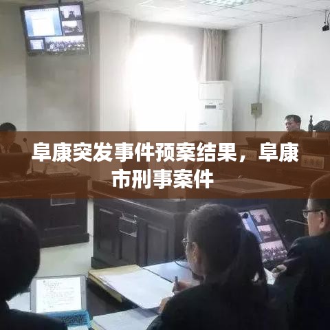 阜康突发事件预案结果，阜康市刑事案件 