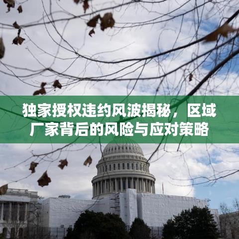 独家授权违约风波揭秘，区域厂家背后的风险与应对策略