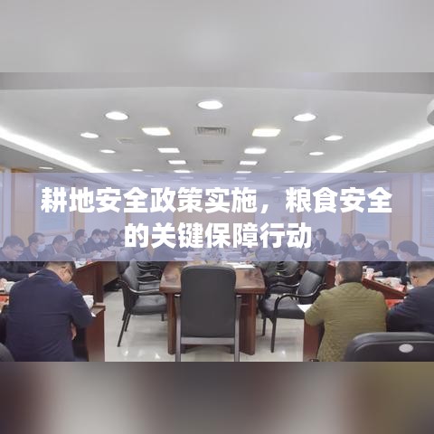 耕地安全政策实施，粮食安全的关键保障行动