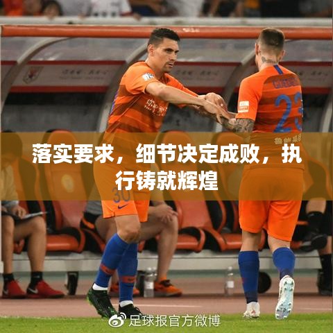 落实要求，细节决定成败，执行铸就辉煌