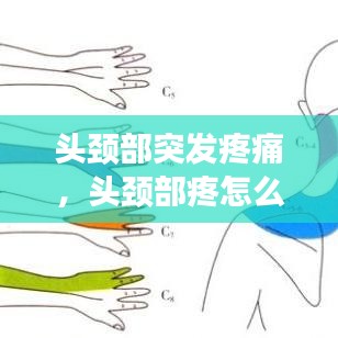 头颈部突发疼痛，头颈部疼怎么回事 