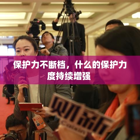 保护力不断档，什么的保护力度持续增强 