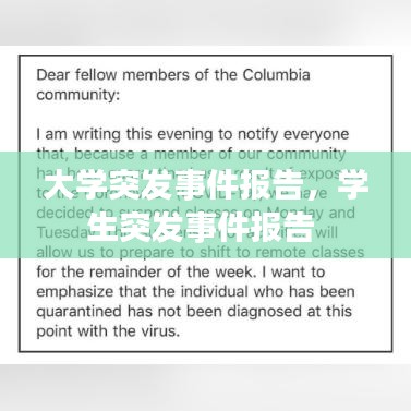 大学突发事件报告，学生突发事件报告 