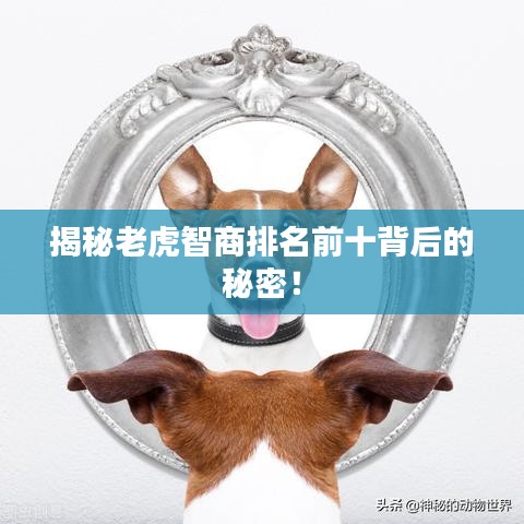 揭秘老虎智商排名前十背后的秘密！