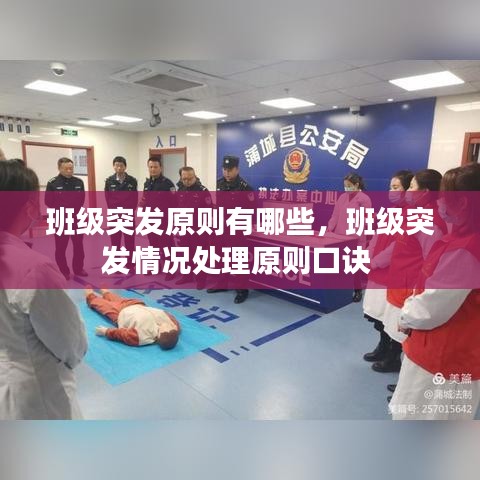 班级突发原则有哪些，班级突发情况处理原则口诀 