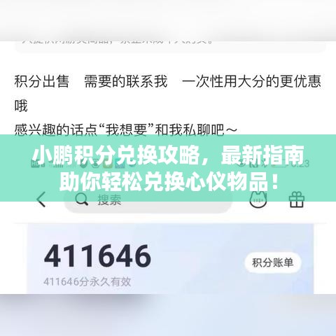 小鹏积分兑换攻略，最新指南助你轻松兑换心仪物品！