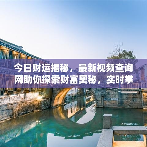 今日财运揭秘，最新视频查询网助你探索财富奥秘，实时掌握最新动态