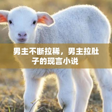 男主不断拉稀，男主拉肚子的现言小说 