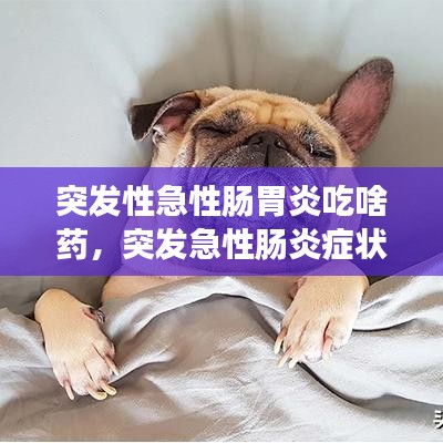 突发性急性肠胃炎吃啥药，突发急性肠炎症状 