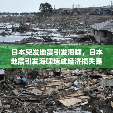 日本突发地震引发海啸，日本地震引发海啸造成经济损失是多少 