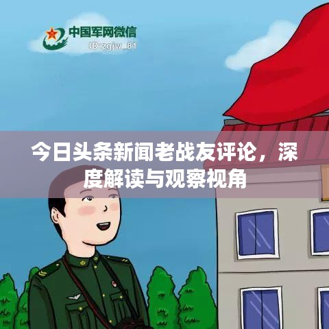 今日头条新闻老战友评论，深度解读与观察视角