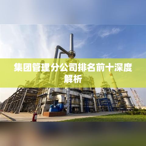 集团管理分公司排名前十深度解析