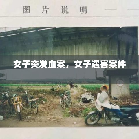 女子突发血案，女子遇害案件 