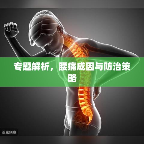 专题解析，腰痛成因与防治策略