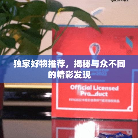 独家好物推荐，揭秘与众不同的精彩发现