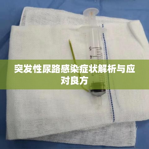 突发性尿路感染症状解析与应对良方