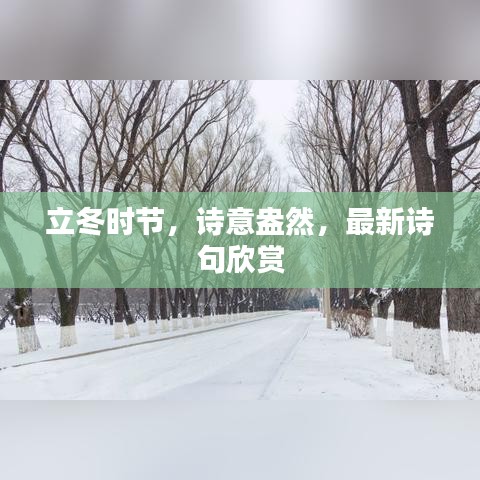 立冬时节，诗意盎然，最新诗句欣赏