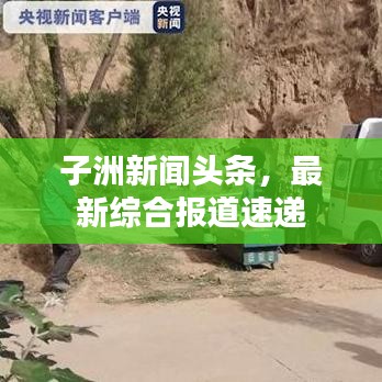 子洲新闻头条，最新综合报道速递