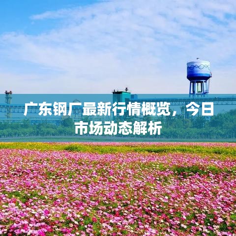 广东钢厂最新行情概览，今日市场动态解析