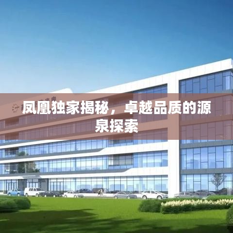 凤凰独家揭秘，卓越品质的源泉探索