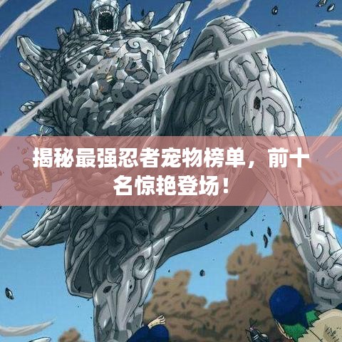揭秘最强忍者宠物榜单，前十名惊艳登场！