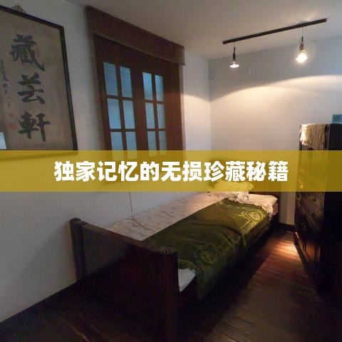 独家记忆的无损珍藏秘籍