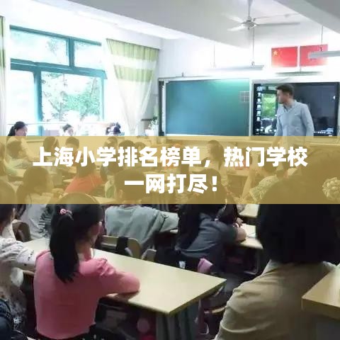 上海小学排名榜单，热门学校一网打尽！
