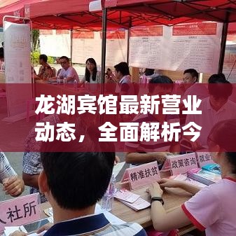 龙湖宾馆最新营业动态，全面解析今日营业状况消息