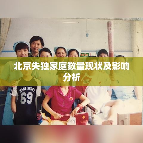 北京失独家庭数量现状及影响分析