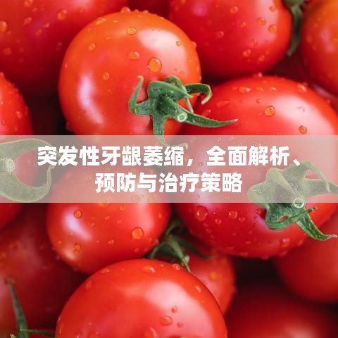 突发性牙龈萎缩，全面解析、预防与治疗策略