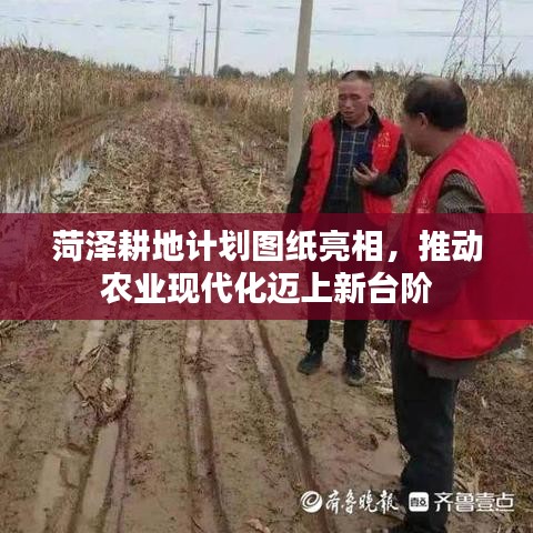 菏泽耕地计划图纸亮相，推动农业现代化迈上新台阶