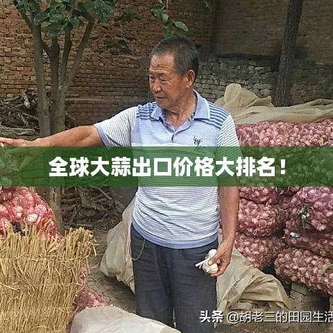 全球大蒜出口价格大排名！