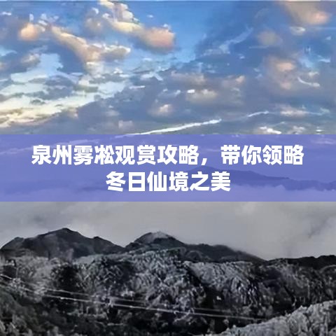 泉州雾凇观赏攻略，带你领略冬日仙境之美