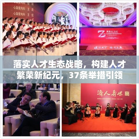 落实人才生态战略，构建人才繁荣新纪元，37条举措引领未来