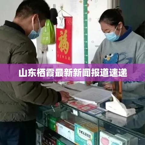 山东栖霞最新新闻报道速递