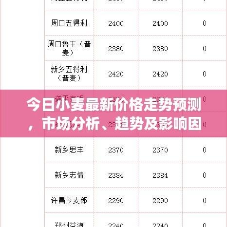 今日小麦最新价格走势预测，市场分析、趋势及影响因素一网打尽