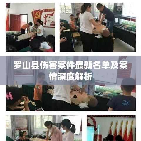 罗山县伤害案件最新名单及案情深度解析