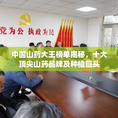 中国山药大王榜单揭秘，十大顶尖山药品牌及种植巨头