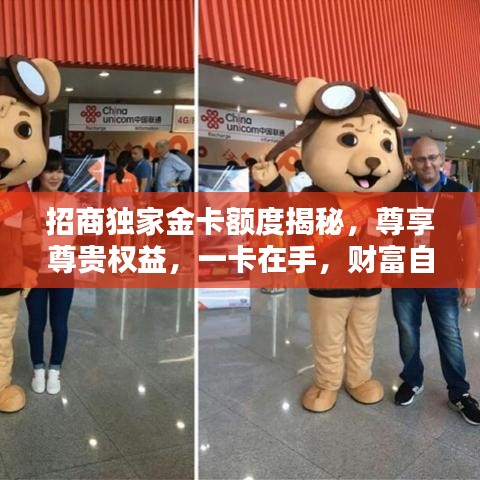 招商独家金卡额度揭秘，尊享尊贵权益，一卡在手，财富自由！
