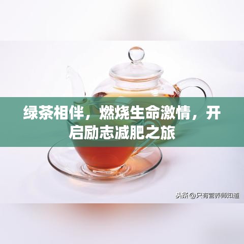 绿茶相伴，燃烧生命激情，开启励志减肥之旅