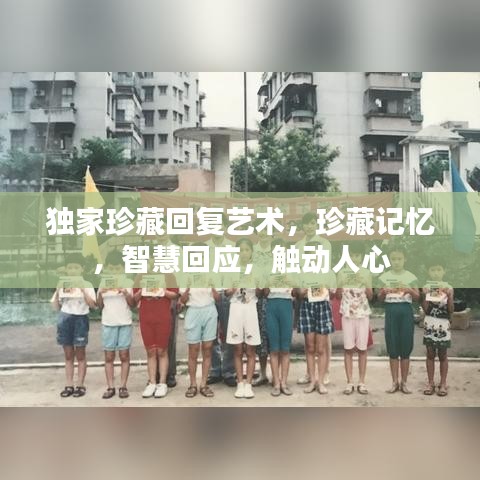 独家珍藏回复艺术，珍藏记忆，智慧回应，触动人心
