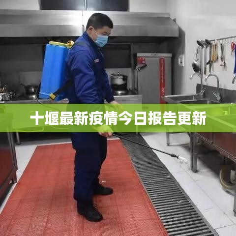 十堰最新疫情今日报告更新