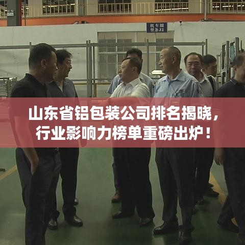 山东省铝包装公司排名揭晓，行业影响力榜单重磅出炉！