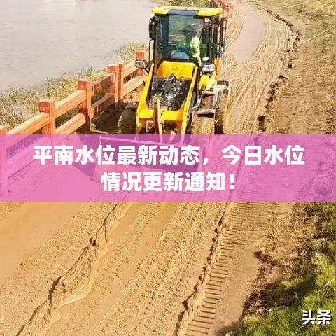 平南水位最新动态，今日水位情况更新通知！