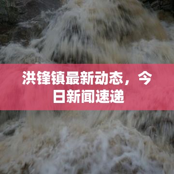 洪锋镇最新动态，今日新闻速递
