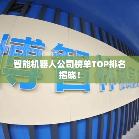 智能机器人公司榜单TOP排名揭晓！