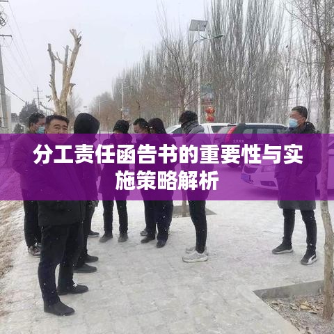 分工责任函告书的重要性与实施策略解析