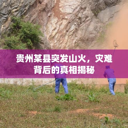 贵州某县突发山火，灾难背后的真相揭秘