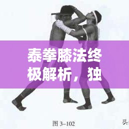 泰拳膝法终极解析，独家技巧与实战应用示范